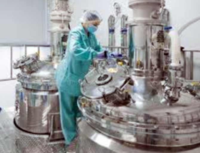 Pharmaceutical Industry